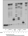 Figure 5.