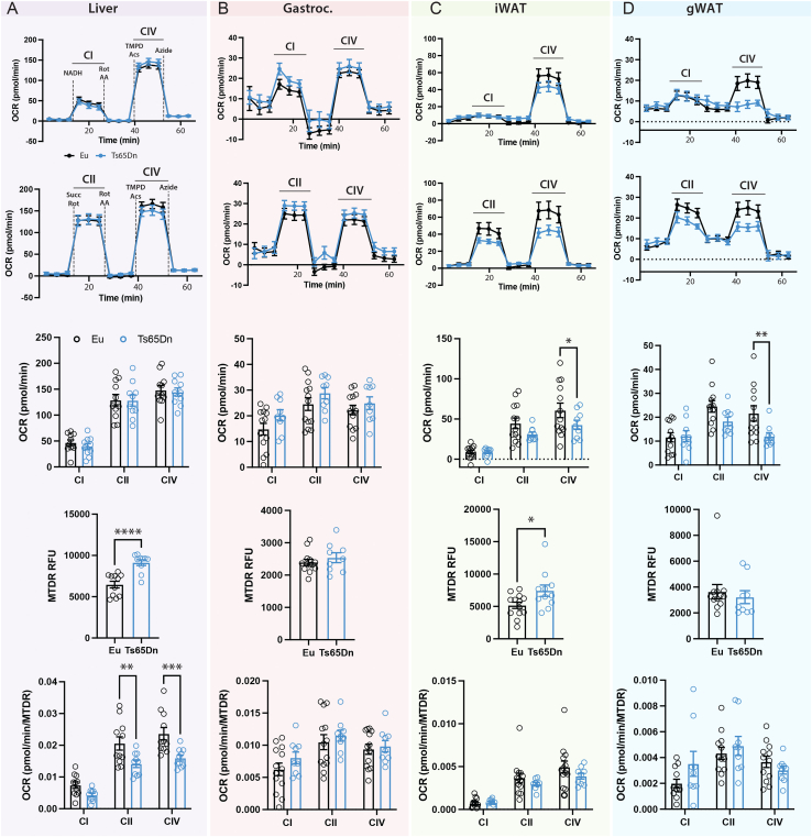 Figure 6