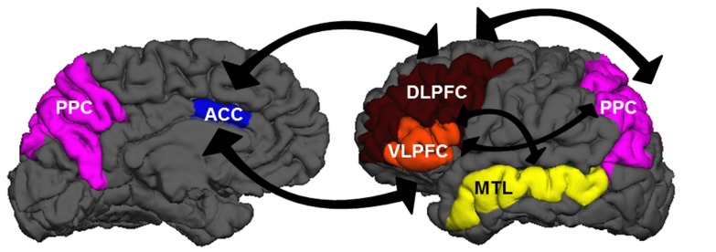 FIGURE 1