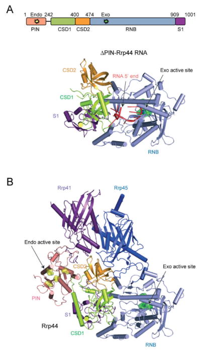 Figure 3.5