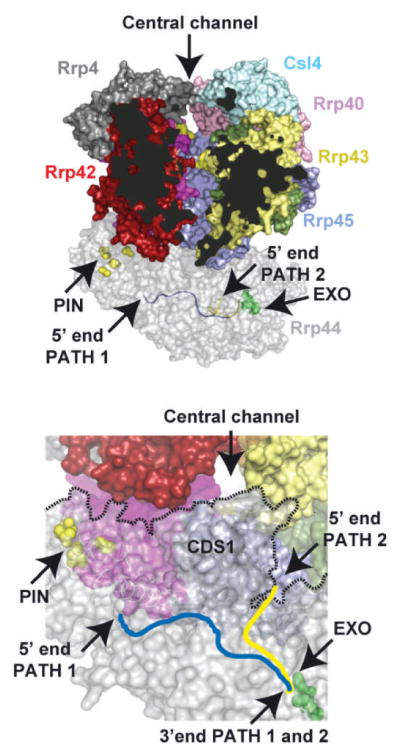 Figure 3.6