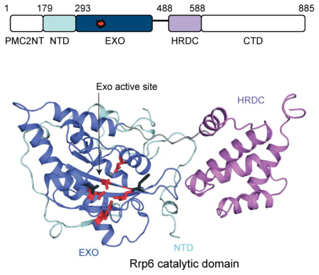 Figure 3.7