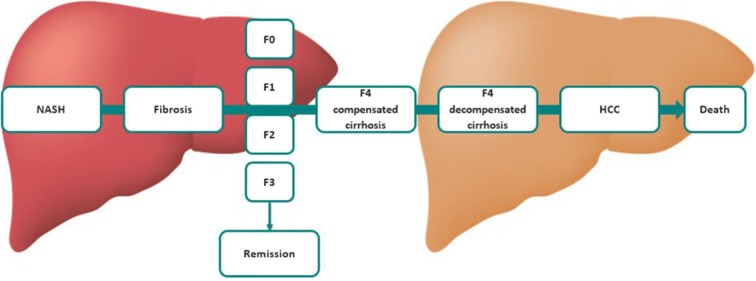 Fig. 4