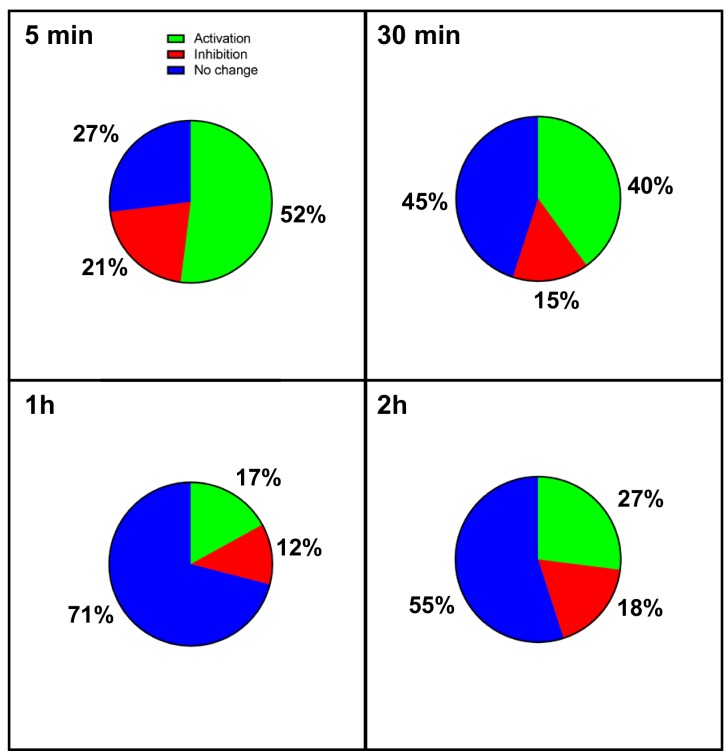 Figure 1—figure supplement 1.