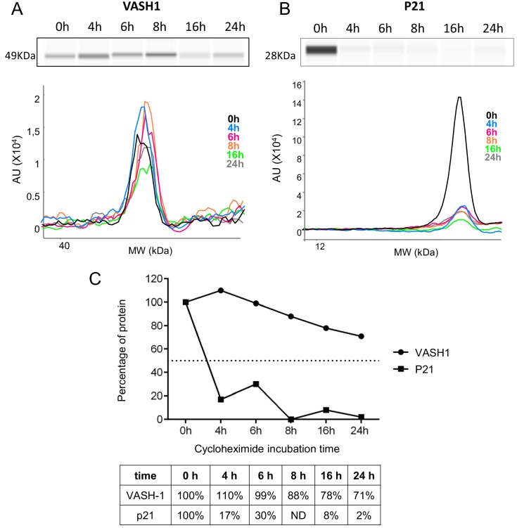 Figure 7—figure supplement 1.