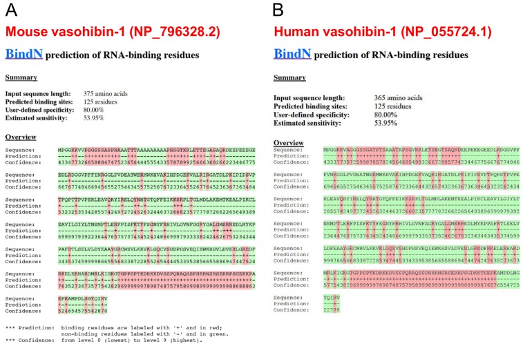 Figure 5—figure supplement 1.