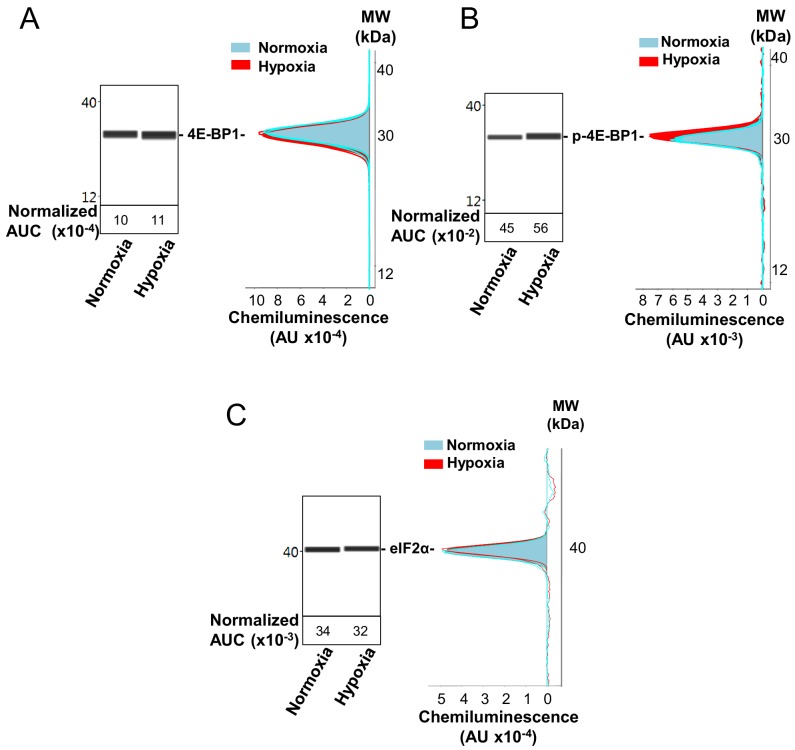 Figure 2—figure supplement 1.