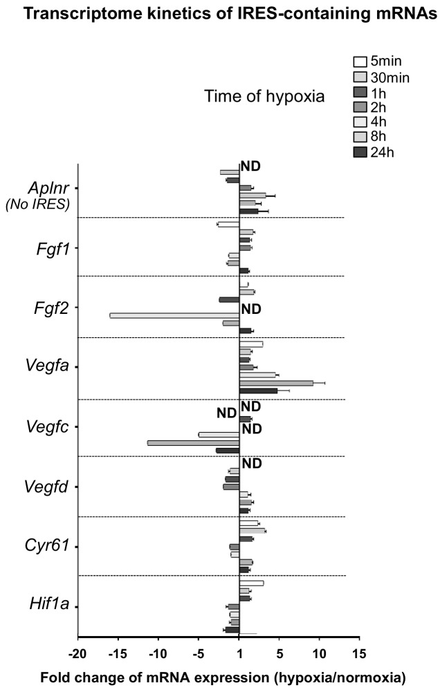 Figure 3—figure supplement 1.