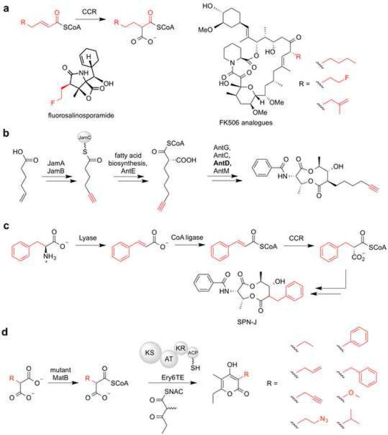 Figure 5