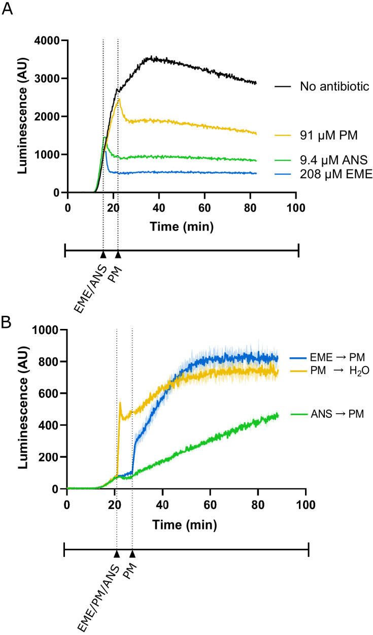 Figure 3—figure supplement 1.