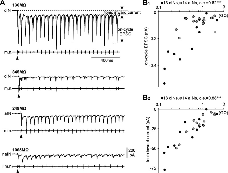 Figure 6.