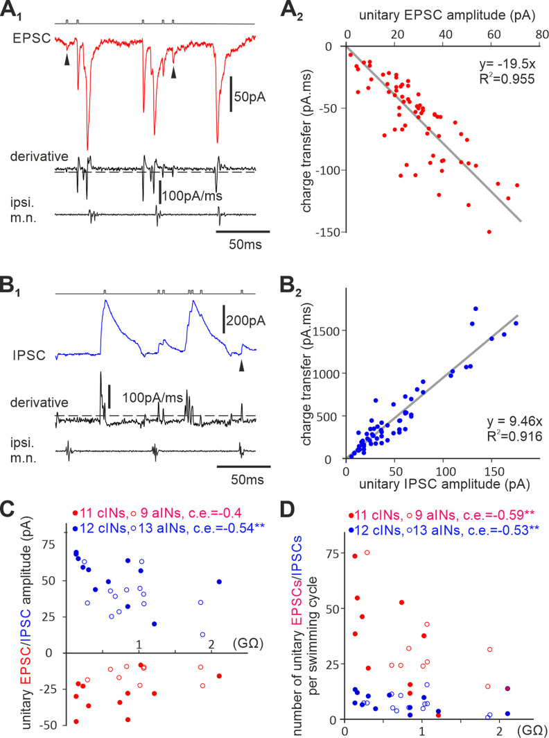 Figure 9.