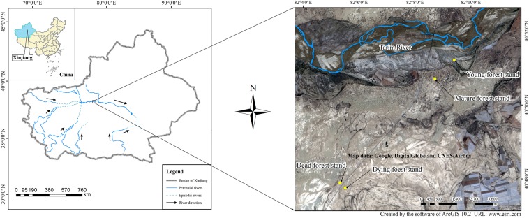 Figure 9