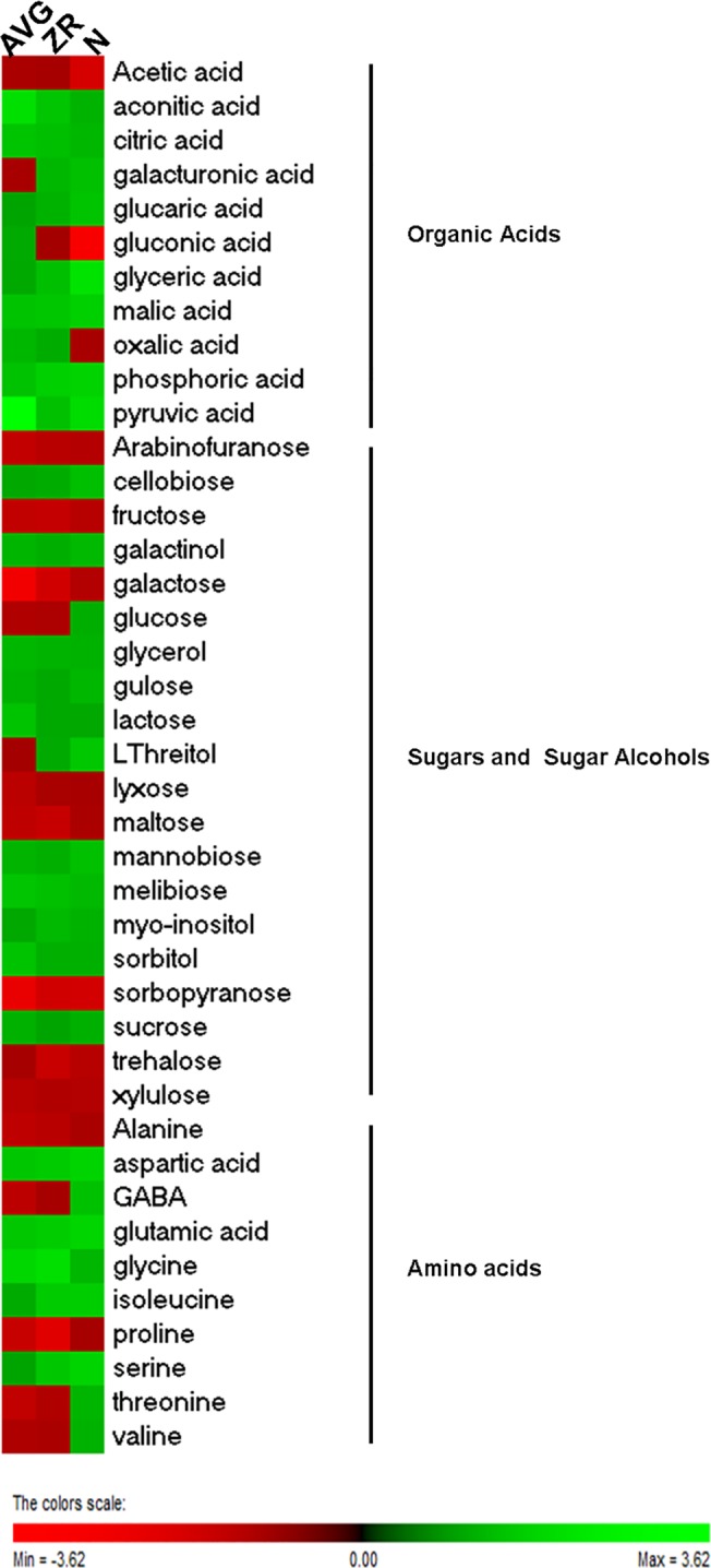 Fig 2