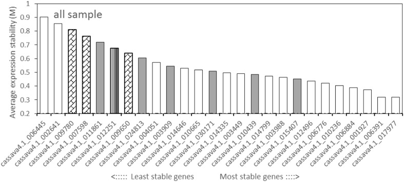 FIGURE 2