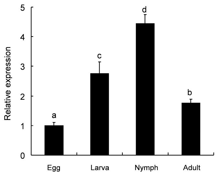 Figure 4