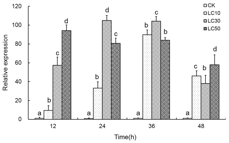 Figure 5