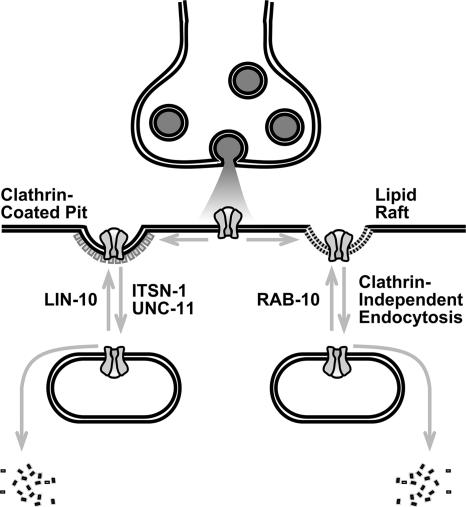 Figure 8.