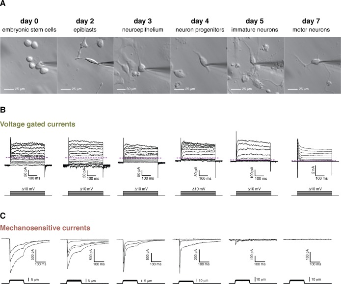 Figure 3.