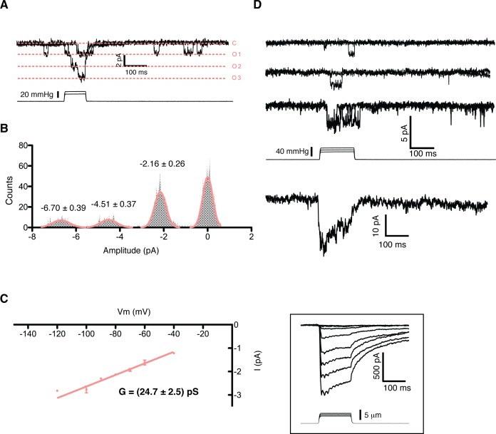 Figure 2.