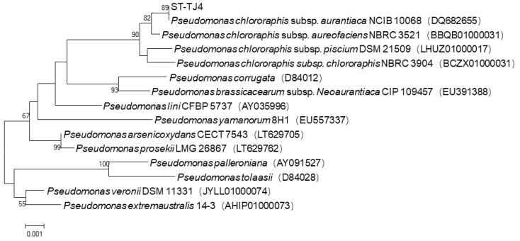 Figure 7