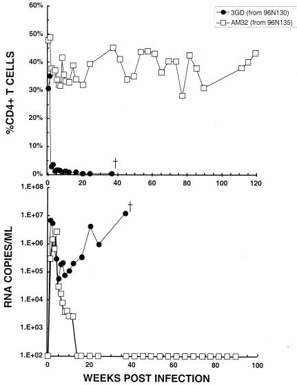 FIG. 6.