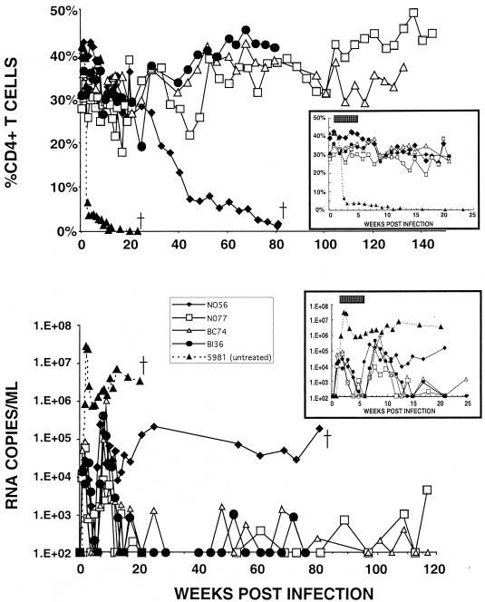 FIG. 4.