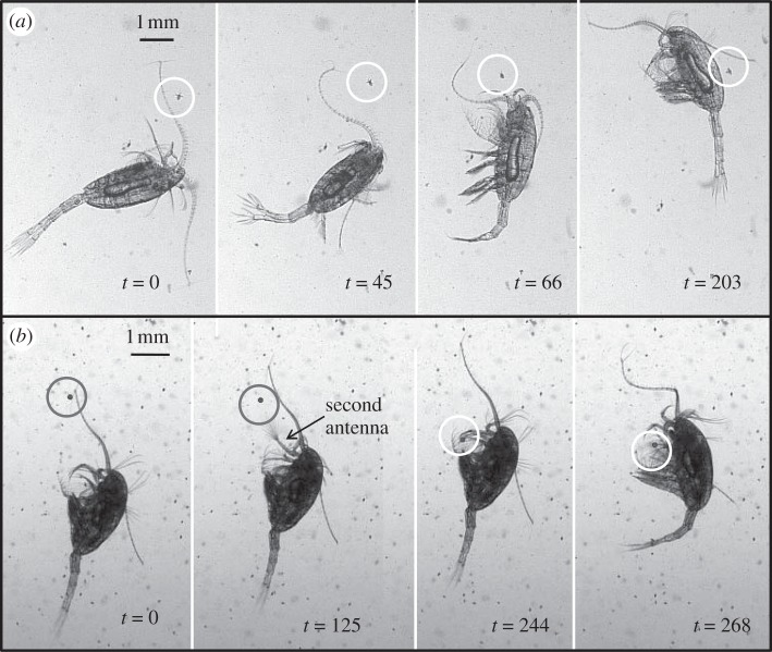 Figure 2.