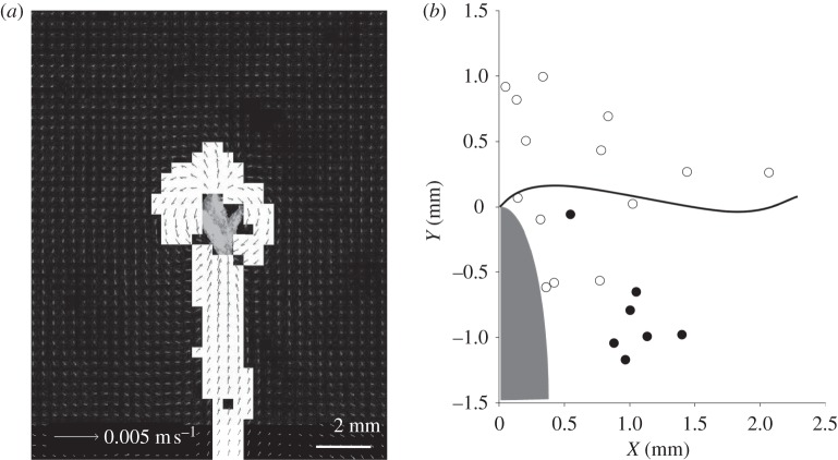 Figure 1.