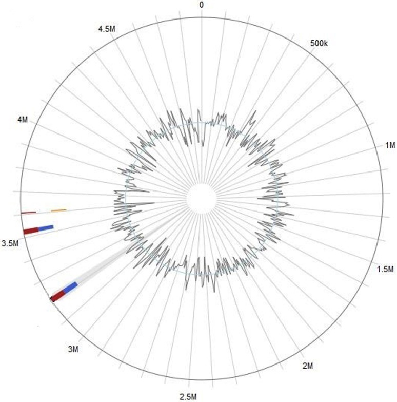 Fig. 12