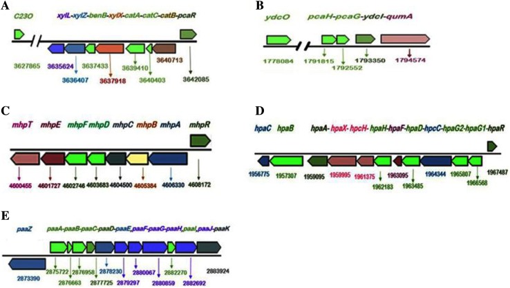 Fig. 11