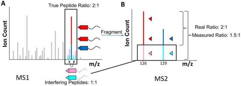 Figure 5: