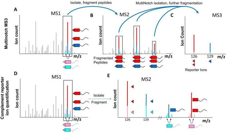 Figure 6: