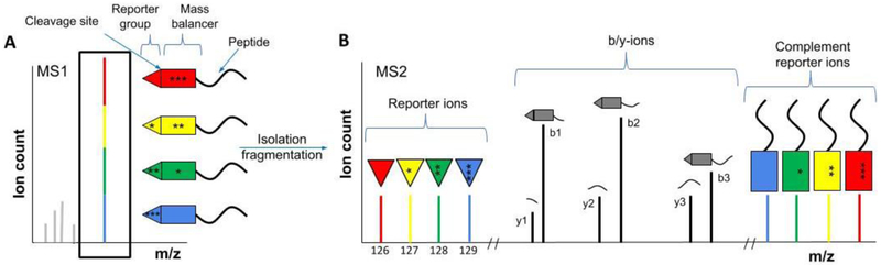 Figure 4: