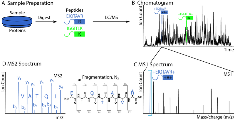 Figure 1: