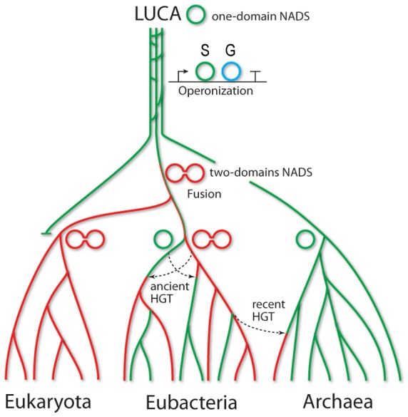 Figure 7