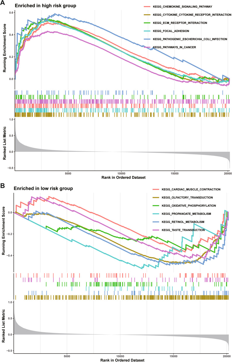 Fig. 11