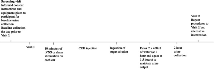 FIGURE 1