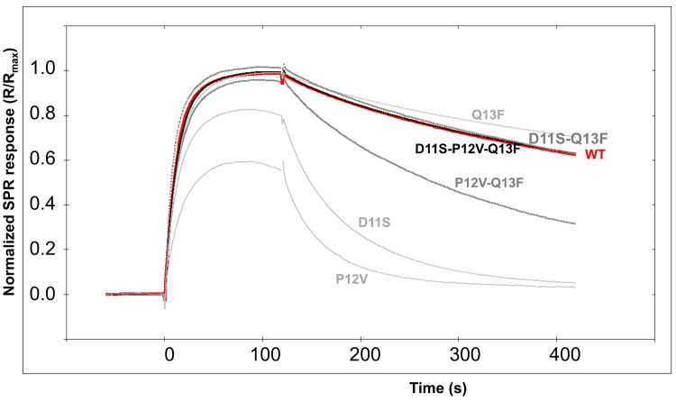 Fig 5