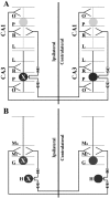 Fig. 8.