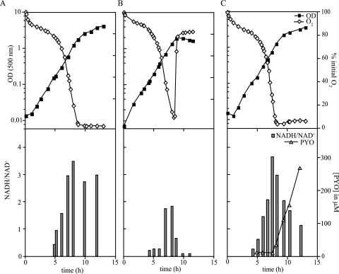 FIG. 4.