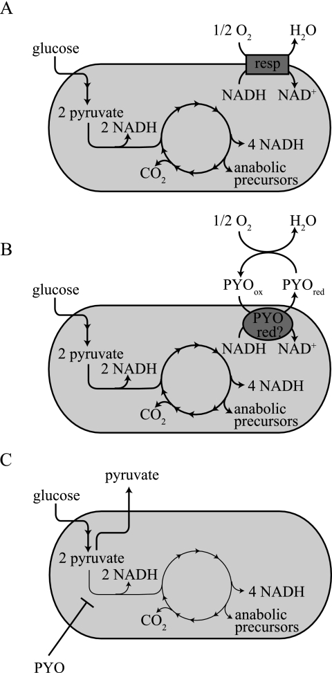 FIG. 7.