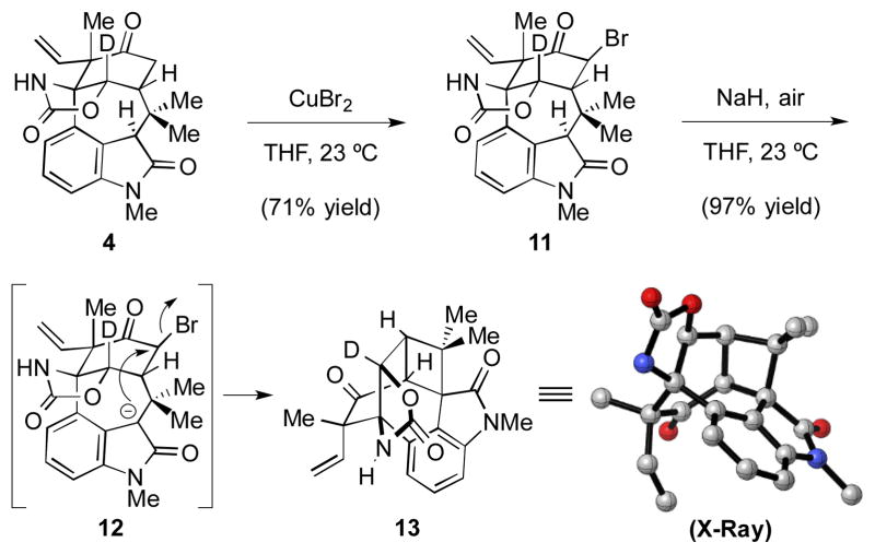 Scheme 4