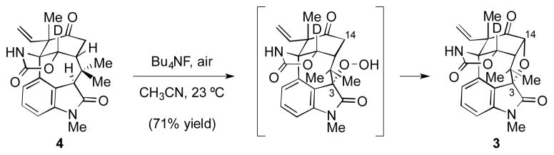 Scheme 5