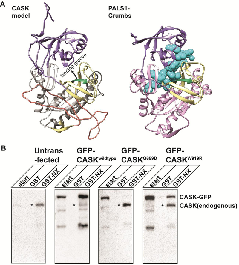 Figure 6.