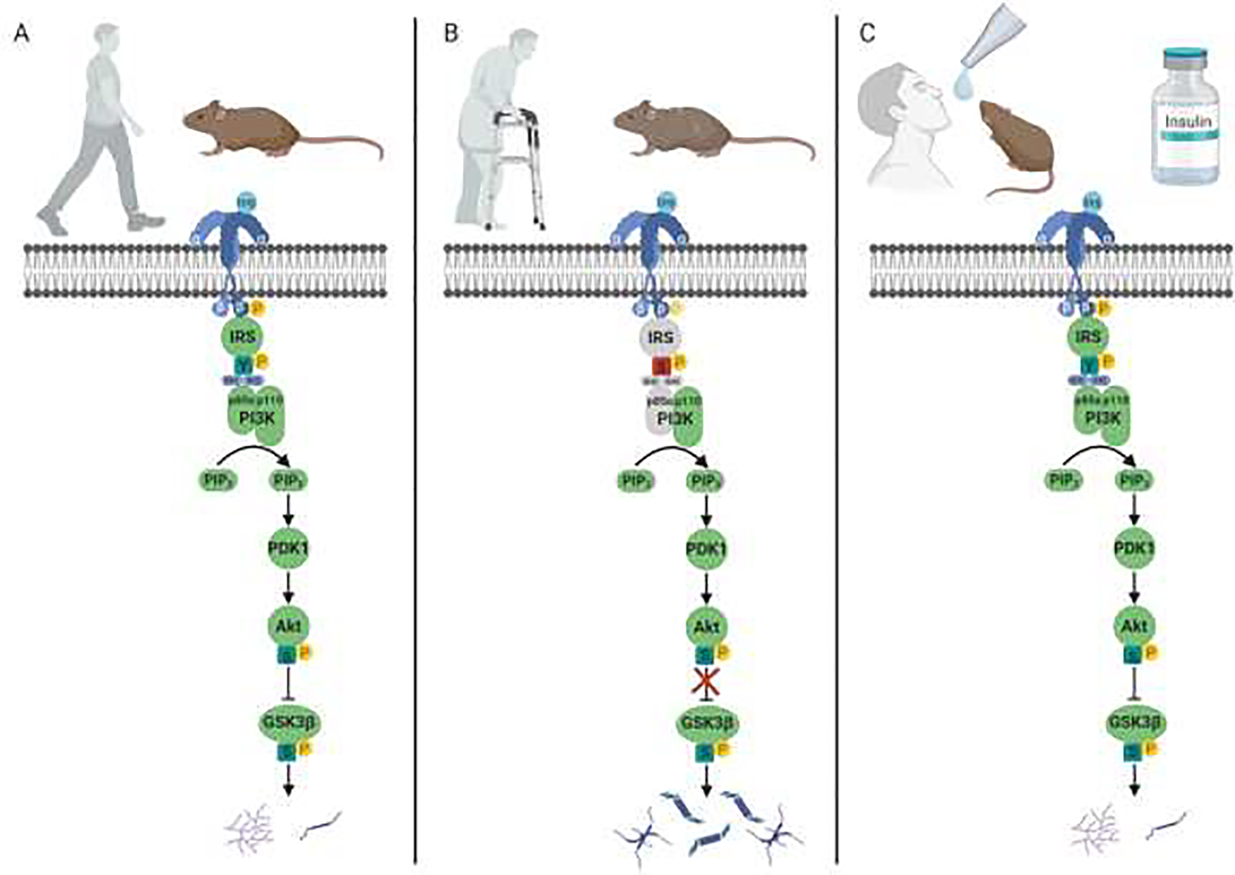 Figure 1: