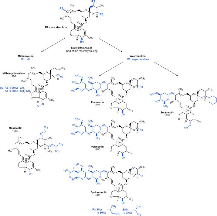 Fig. 6