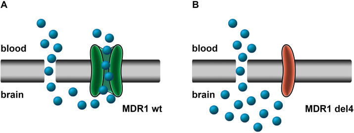 Fig. 11