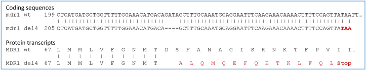 Fig. 10