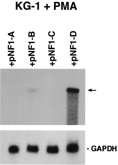 FIG. 7